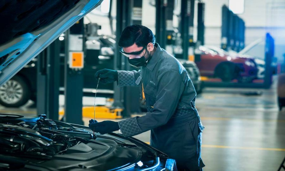How Pennsylvania’s Leaf-Littered Autumn Roads Affect Brake Rotor Wear